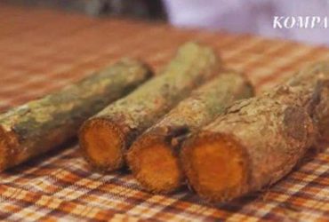 bajakah obat kanker